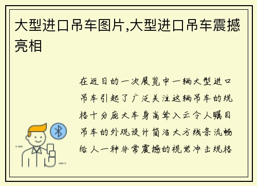 大型进口吊车图片,大型进口吊车震撼亮相