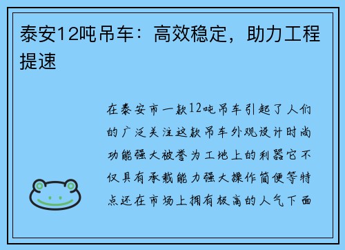 泰安12吨吊车：高效稳定，助力工程提速